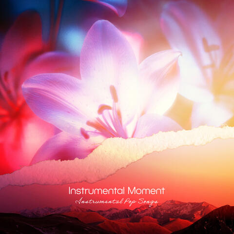 Instrumental Moment