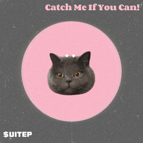 Catch Me If You Can!