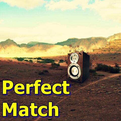 Perfect Match
