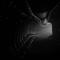 Begin Transmission