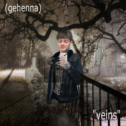 veins