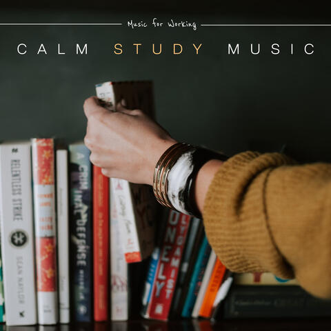 Calm Study Music