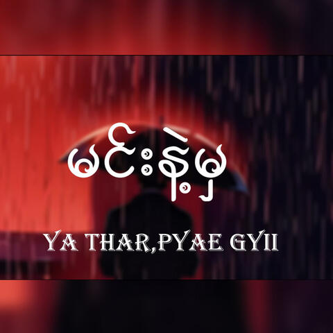 Min Nae Mha