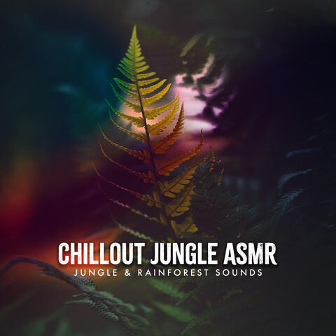 Chillout Jungle ASMR