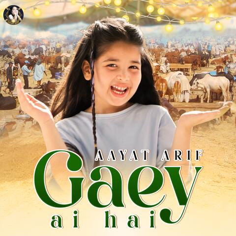Gaey Ai Hai