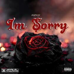 Im Sorry ( Extended Version)