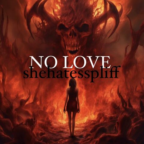 NO LOVE