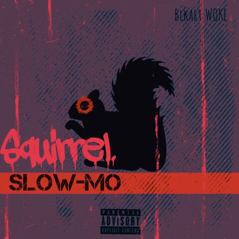 Squirrel (Slow-Mo)