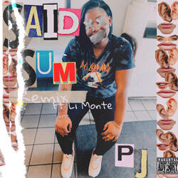 Said Sum (remix)