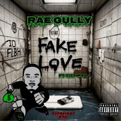 Fake Love