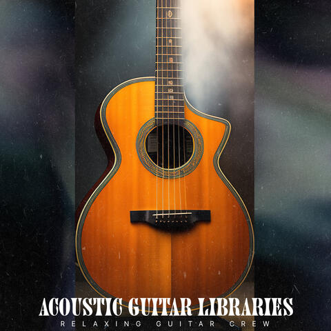 Acoustic Guitar Libraries