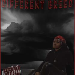 Different Breed