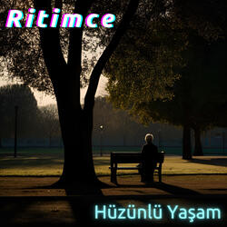 Hüzünlü Yaşam