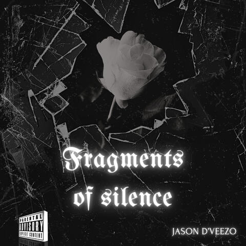 Fragments Of Silence