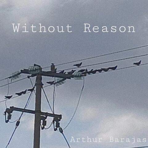 Without Reason
