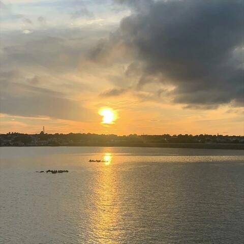 Westbrook Story / BledsoeHalo