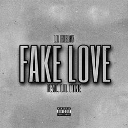 Fake Love