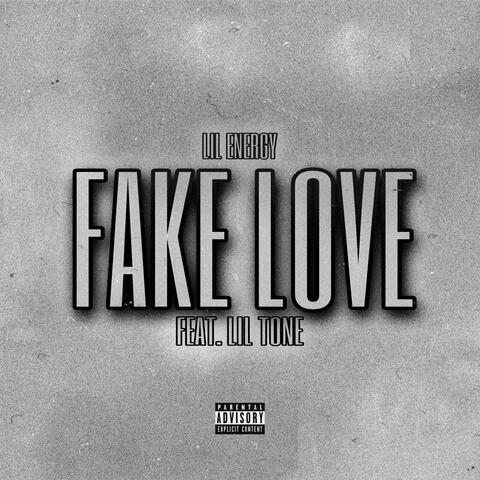 Fake Love