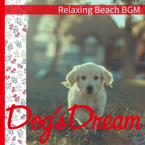 Relaxing Beach BGM