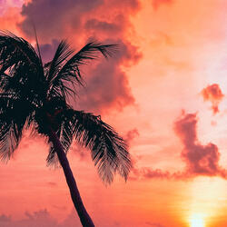 Deep Relaxation Alpha Waves
