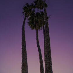 Galactic