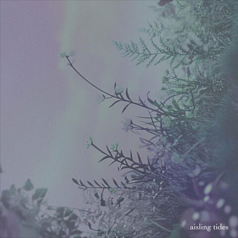 Tides of Focus: Meditation Songs Vol. 1