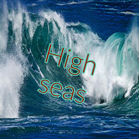 High Seas