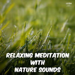 Relaxing Meditation with Nature Sounds