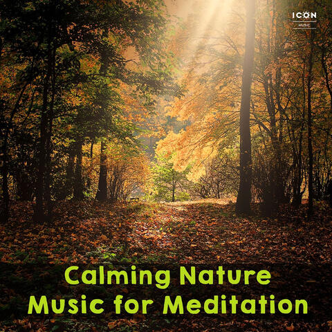 Calming Nature Music for Meditation