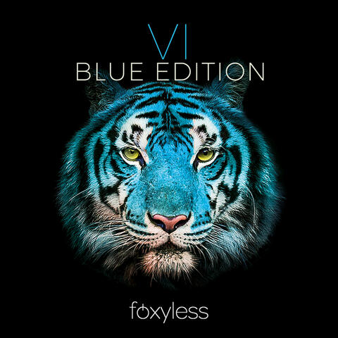 Foxyless VI Blue Edition