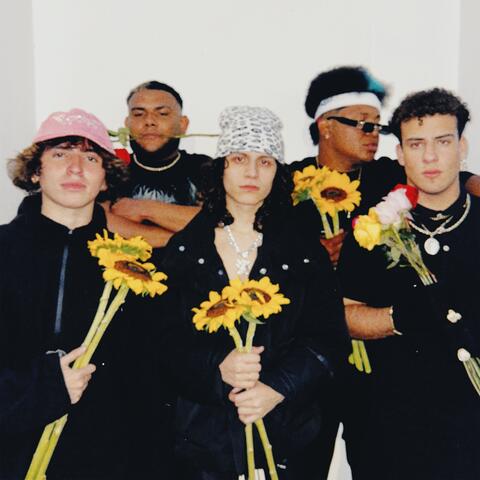 BURDA DE FLORES