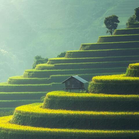 Paisagem