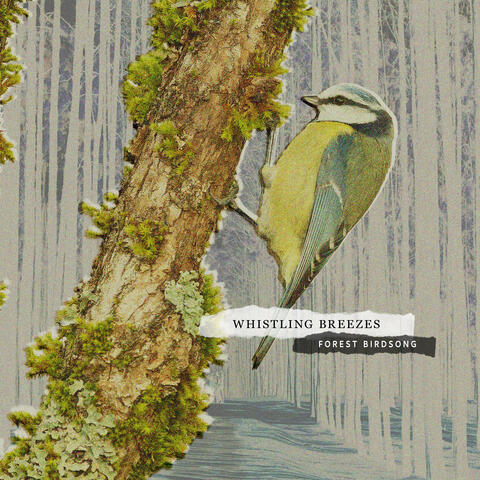 Whistling Breezes