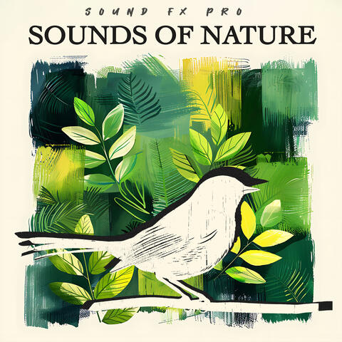 Sounds of Nature