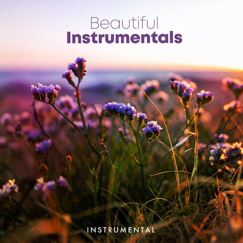 Beautiful Instrumentals