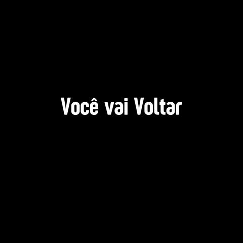 Você vai Voltar