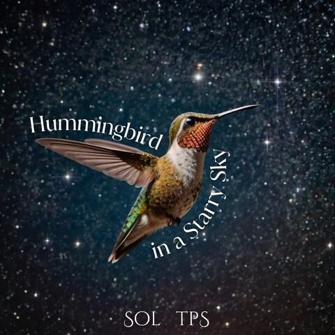 Hummingbird in a Starry Sky