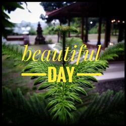 Beautiful day