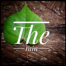The rain
