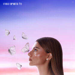 סיפורי צדיקים