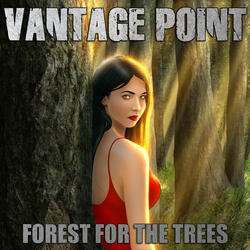 Forest for the Trees