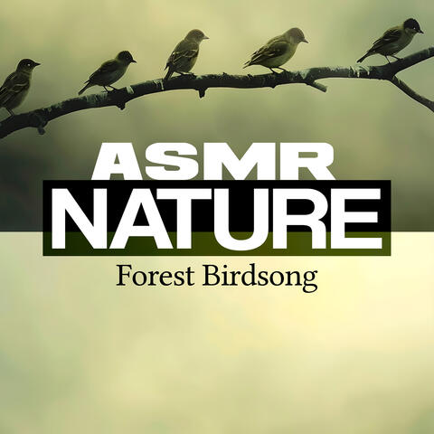 ASMR Nature