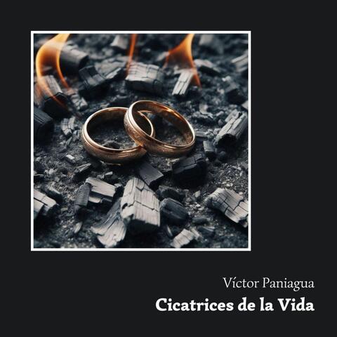 Cicatrices de la vida