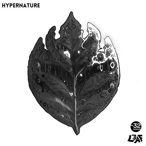 Hypernature
