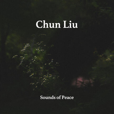 Sounds of Peace