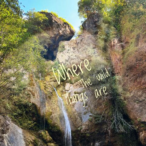 Where the Wild Things are