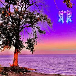 I'll See You When You're Home