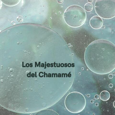 De Fiesta en Diamante