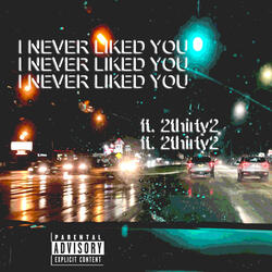 i never liked you