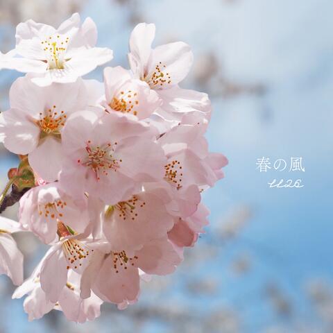 春の風